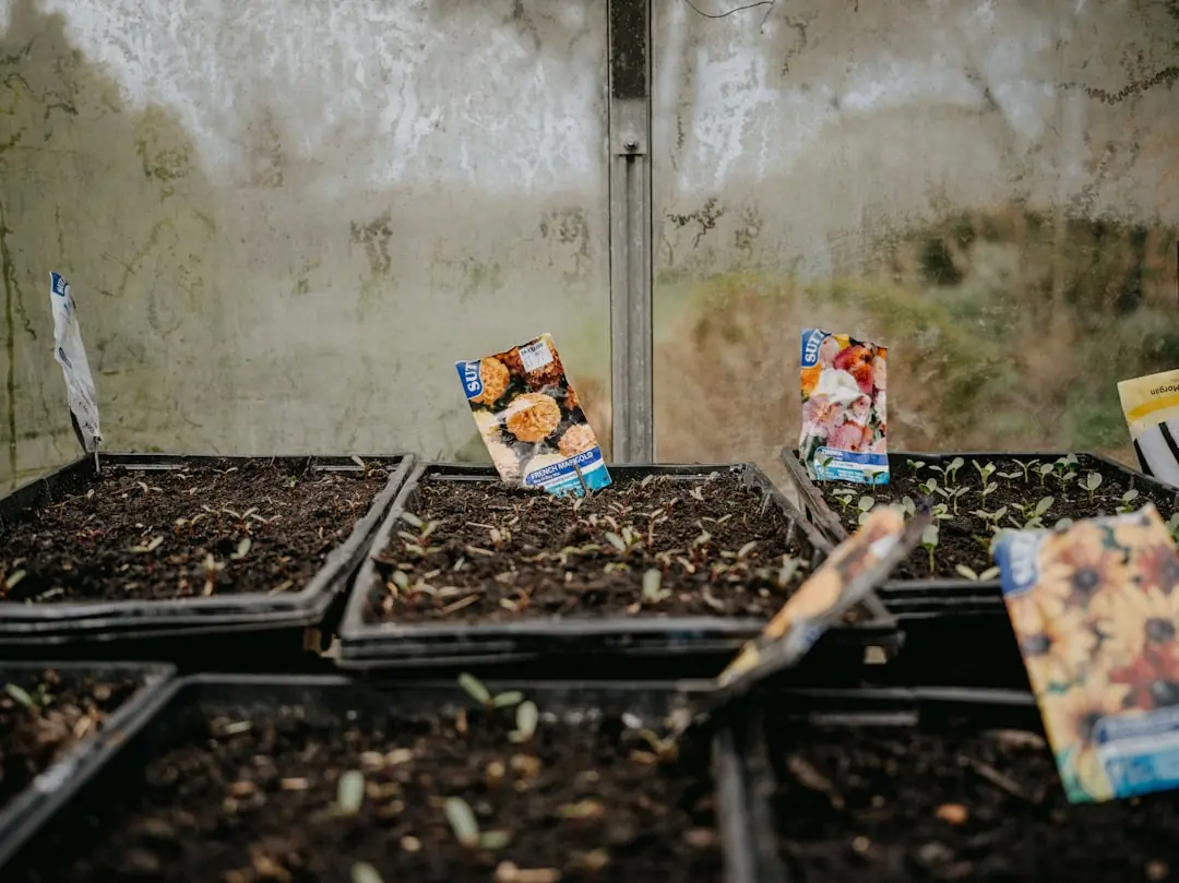 Aprenda Práticas de Jardinagem com o Senac RJ e Transforme Seu Espaço Verde