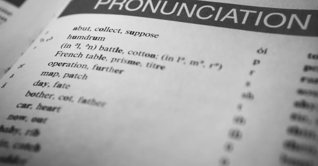 Black and white close-up of a dictionary page focused on pronunciation guides and phonetic symbols.
